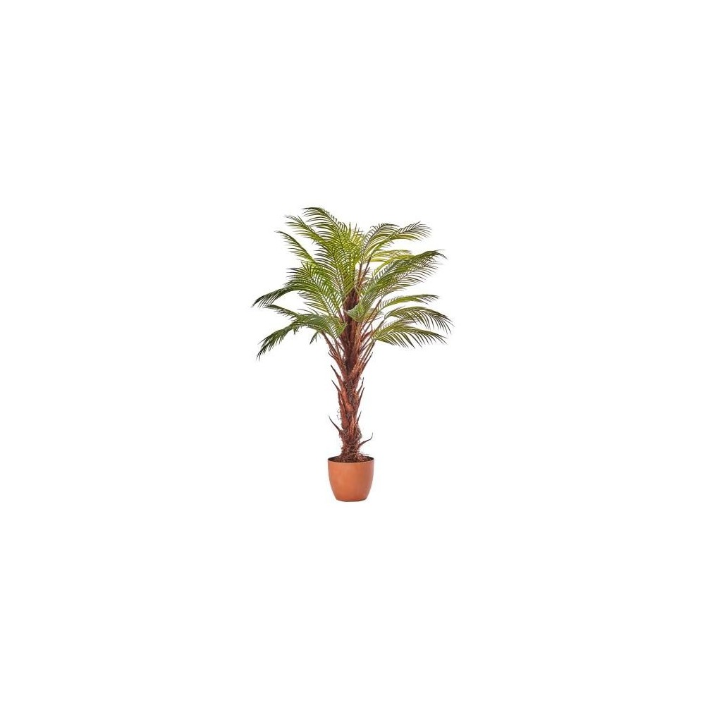 PIANTA ARECA X31 125CM